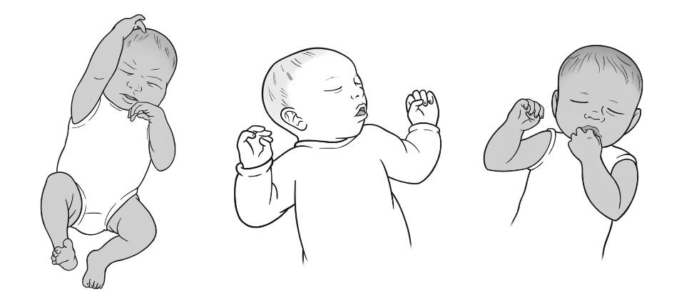 Illustrationen von Babys, die durch ihre Köprtsprache Hunger ausdrücken.